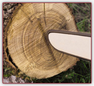 Entretien de votre matriel de coupe (37)